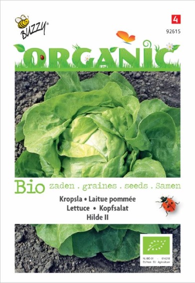 Lettuce Hilde ll BIO (Lactuca sativa) 800 seeds
